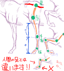 投稿イラスト講座 馬の描き方 2 馬体の描き方バランス編 不肖の弟さんの場合 馬のスケッチ 馬の描き方 描き方