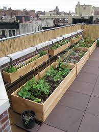 More Planting Ideas Vertical Vegetable Garden Design Rooftop Terrace Design Vertical Vegetable Garden