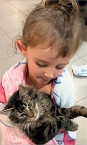 Lost dog found near Bootlegger