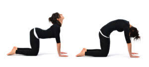 It also invites experienced yogis to. Improving Cat Cow Rachel Hamstra Gcfp