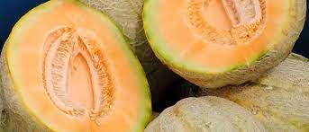 Is It Safe To Eat Muskmelon During Pregnancy India Parenting