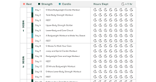 New Years Challenge Workout Plan Pdf Workout Challenge Strength Workout Upper Body Strength