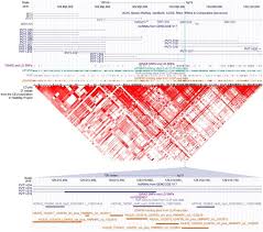 Integrating Large Scale Rna Seq And Clip Seq Datasets Enables Study Of Lncrna Rna Seq Blog Enabling Study Pathology