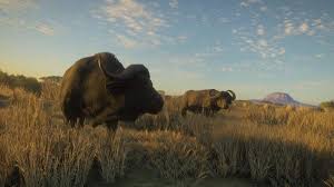 What is the hunter game? The Hunter Call Of The Wild 2019 Edition Kaufen Mmoga