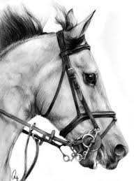 How to draw a realistic horse. How To Draw A Horse By Howtodrawitall On Deviantart