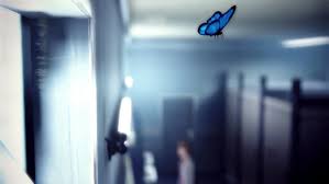 Butterfly, a brightly coloured insect that has the capability to get anyones attention.the way they take their flight, have nectar from flower, i just love watching them as. Blue Butterfly Life Is Strange Wiki Fandom