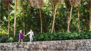 Garden grounds offer romantic backgrounds for your wedding and engagement photographs, as well as sites for. Fairchild Tropical Botanic Garden Engagement Shoot Cal Thais Miami Wedding Photographer