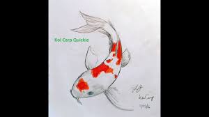 Drawing A Koi Carp Youtube Koi fish drawings in pencil google search with images koi fish drawing fish drawings sketches. drawing a koi carp youtube
