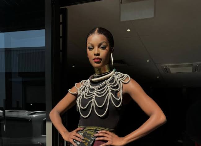 Chidimma Adetshina Challenges South African Deportation Decision Amid Citizenship Dispute