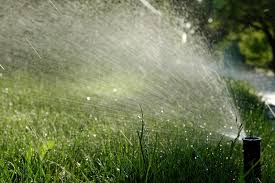 A water or spray wand that attaches to your garden hose for watering flowers and container plants. The Right Way To Water Your Lawn Ndsu Agriculture And Extension