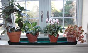 Check spelling or type a new query. Window Sill Protector Plant Tray Kinsman Company