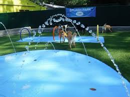 2818 north main street, walnut creek, ca. Pet Lodge Pet Resort 35 Photos 31 Reviews Pet Training 3456 Bethany Bnd Alpharetta Ga Phone Number Yelp