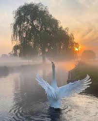 Take this quiz to find out what kind of natural beauty you are! Beauty Of Nature On Twitter Good Morning Everyone Nature Naturephotography