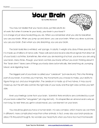 Super teacher worksheets has over 16,000 printable resources for you to check out. Your Brain Superteacherworksheets Human Body Super Teacher Worksheets Math Dittos 3th Human Body Super Teacher Worksheets Worksheets Common Core Sheets Adding And Subtracting Fractions Math Problem Sheets 5th Grade Division Color By