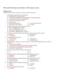 Dna And Rna Structure Worksheet Answer Key A Dna And Rna Structure Worksheet Answer Key Is Dna Worksheet Biology Worksheet Dna Transcription And Translation