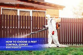 How To Choose A Pest Control Expert - Mr Pest Control