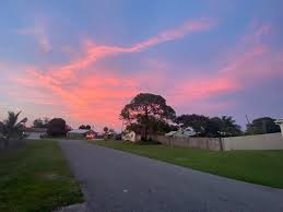 Profile for Lala Martinez