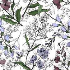 Maybe you would like to learn more about one of these? Vector Wildflowers Floral Botanical Flowers Wild Spring Leaf Wildflower Isolated Black And White Engraved Ink Art Seamless Background Pattern Fabric Wallpaper Print Texture Free Stock Vector Graphic Image
