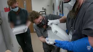 Pfizer Covid 19 Vaccine Arrives At Mayo Clinic In Rochester Minnesota Youtube