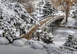 Dealing With Snow In The Garden Chicago Botanic Garden Chicago Botanic Garden Chicago Travel Botanical Gardens
