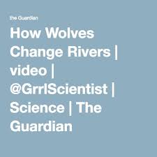 How Wolves Change Rivers Video Grrlscientist Science Change River
