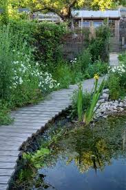 Image result for garden pond ideas