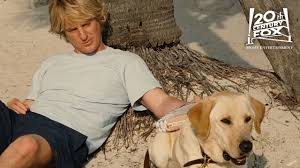 Watch marley & me online free marley & me movie free online we let you watch movies online without having to register or paying, with over 10000 movies. Marley Me The Greatest Gift 20th Century Fox Youtube