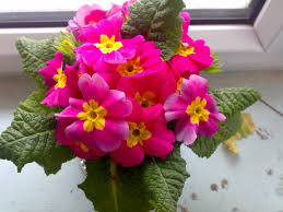 Mavideniz Yayinlari 1 Sinif Matematik Sayfa 105 In Cevaplari Acil Eodev Com