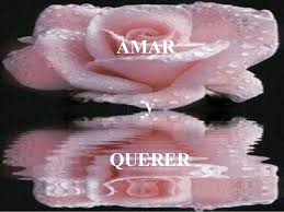 Resultado de imagen de querer o amar