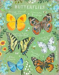 Butterfly Id Chart Vertical Print