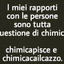 NonSonoAsociale Instagram posts (photos and videos) - Picuki.com