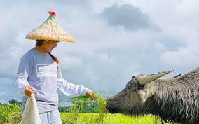 Ka Mangyan Vlogs: From Viral Sensation to Cultural Ambassador | Digital  Marketing Agency in the Philippines | PurpleBug