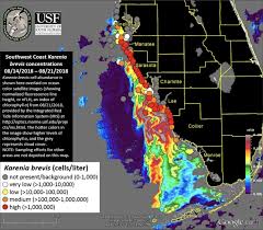 You Will Love Johns Pass Tides Johns Pass Tides