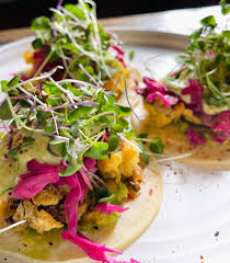 Maybe you would like to learn more about one of these? Plant City Providence Dorados Fish Tacos For Taco Tuesday Maitake Pickled Cabbage Cilantro Aioli Gf Sf Nf Facebook