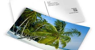 Postcards Photo Cards Personalized Cards Walgreens Photo Walgreens Photo Center Personalised Postcards Custom Postcards Walgreens Photo