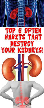 Here Are 6 Often Habits That Destroy Your Kidneys Lifehacks Beautyhacks Natural Hair Mask Habits Boost Hair Growth