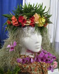 Our 2007 cactus rescue efforts started off in full society. Cactus And Succulent Society Of Hawaii