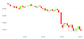 Share on facebook share on twitter. Bitcoin Price Drops 1 000 In Worst Sell Off In A Week Coindesk
