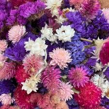 Check out the beautiful flowers Ben Brook Farm will be bringing