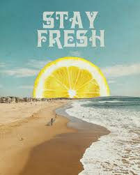 Stay Fresh Art Print Picture Collage Wall Wall Prints Quotes Photo Wall Collage