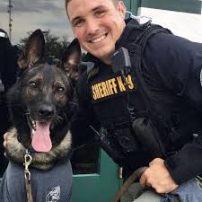 Cop Police K9cop K9 Cop K9 K9shep Pasco Livepd Deputycops Deputycarmack Carmackonlivepd K9handler K9 Part Police Dogs K9 Police Dogs Military Dogs
