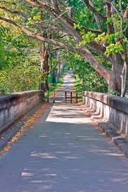 20 University Of Peradeniya Sri Lanka Ideas Sri Lanka University Sri Lanka Travel Kandy, central province, sri lanka. 20 university of peradeniya sri lanka
