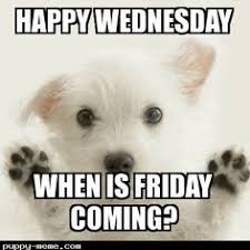 You can win a prize with as little as. 65 Wacky Wednesday Ideas Wednesday Quotes Wednesday Humor Wacky Wednesday