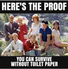 The lockdown memes had descended. Pin By Blue Starr On The Year The World Started Hoarding Toilet Paper Haha Funny Funny Cartoons Funny Jokes