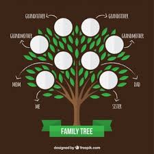 Download these family tree background or photos and you can use them for many purposes, such as banner, wallpaper, poster background as well as powerpoint background and website background. Family Tree Images Free Vectors Stock Photos Psd