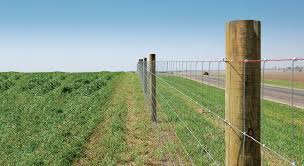 Hello, we provide concise yet detailed articles on fence choices: Fence Planning Archives The Red Brand Post