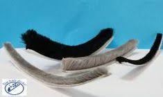 Dichtungen Fur Turen Fenster Duschen Und Vieles Mehr Dichtung Burste