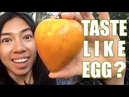 Canistel The versatile Eggfruit You Need to Try!
