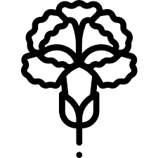 Ready to ship in 1 business day. Carnation Free Nature Icons