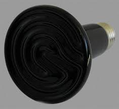 Isitici Lamba 75 W Isitici Lamba Fiyatlari 75w Seramik Isitici Lamba